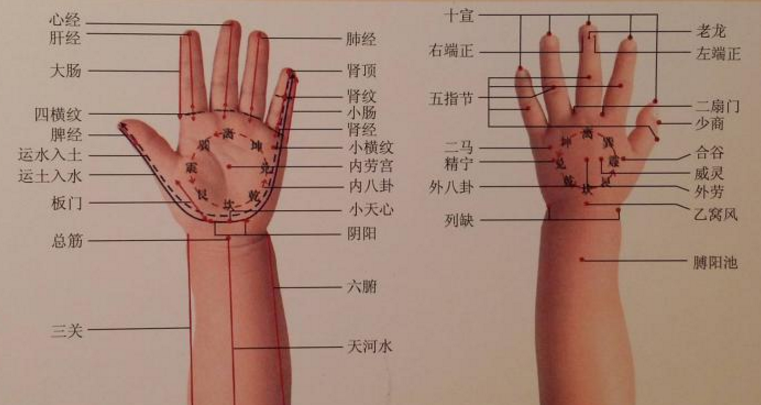 廣州小兒推拿培訓課程